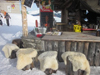 Mayrhofen mid-mountain ice bar