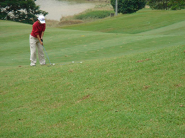 Preparing to chip