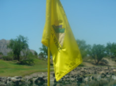 Palm Springs Flag
