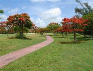 Pok-Ta-Pok Golf Course