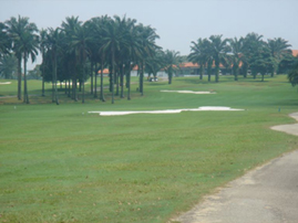 Malaysia Course Fairway