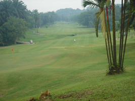 Hole Fairway