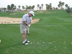 Chip Shot