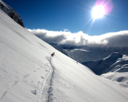 Skiers break fresh tracks high in the Austrian Alps above Zürs, headed to famed backcountry skiing. The Arlberg region is noted for it's off piste and back country skiing Austria