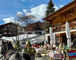 Entering Zug for lunch via sleigh