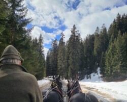 The sleigh ride to Zug for fondue