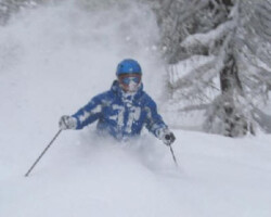 Michael Wild in the trees in Davos, Switzerland Michael Wild in the trees in Davos, Switzerland