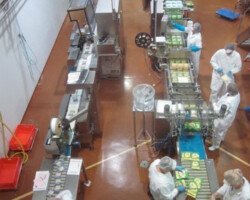 Zillertal Dairy in Operation